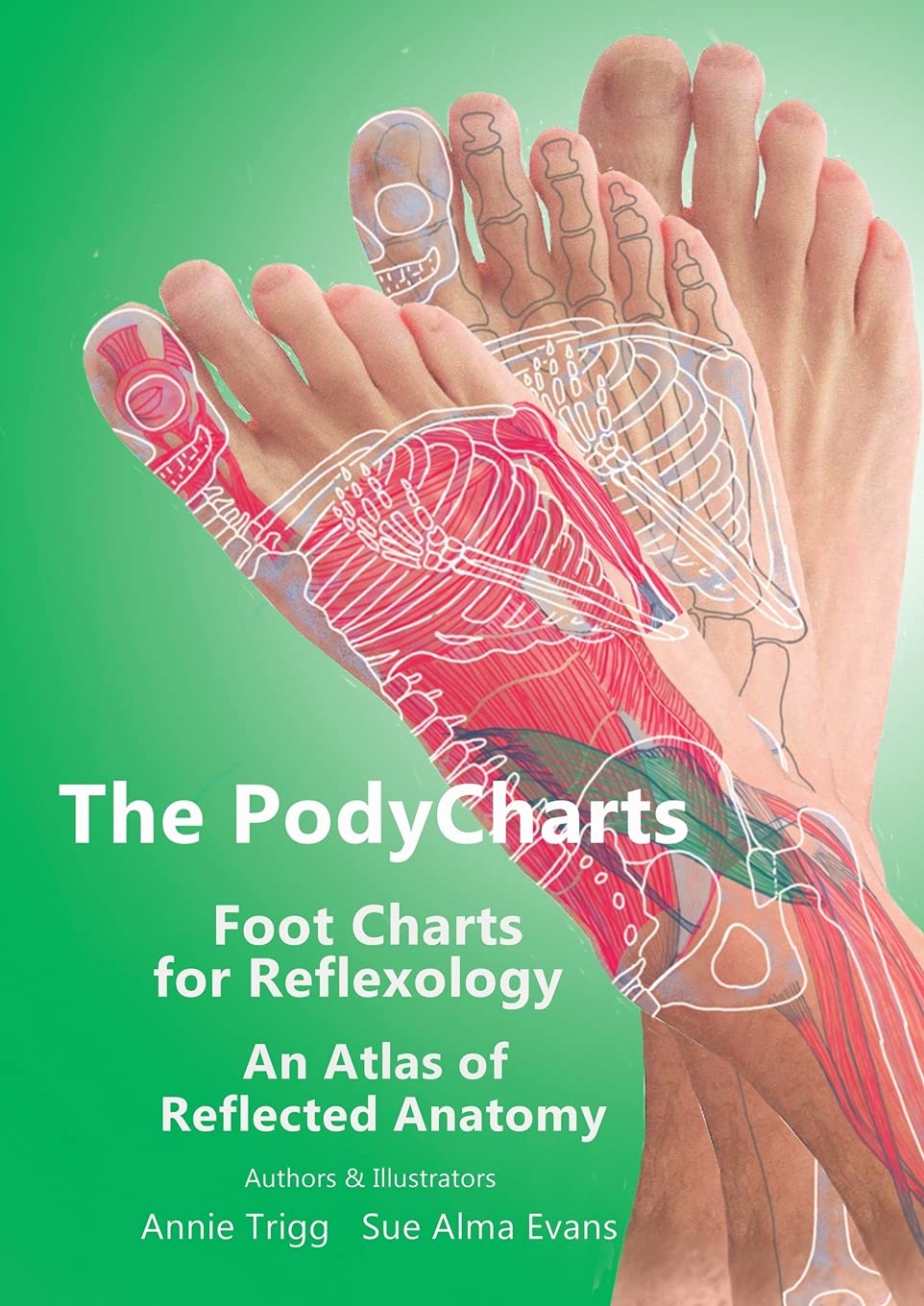 The PodyCharts Foot Charts for Reflexology: An atlas of reflected anatomy (Paperback)