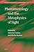 Phenomenology and the Metaphysics of Sight (Studies in Contemporary Phenomenology, 13)