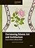 Envisioning Islamic Art and Architecture: Essays in Honor of Renata Holod (Arts and Archaeology of the Islamic World, 2)