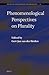 Phenomenological Perspectives on Plurality (Studies in Contemporary Phenomenology, 12)
