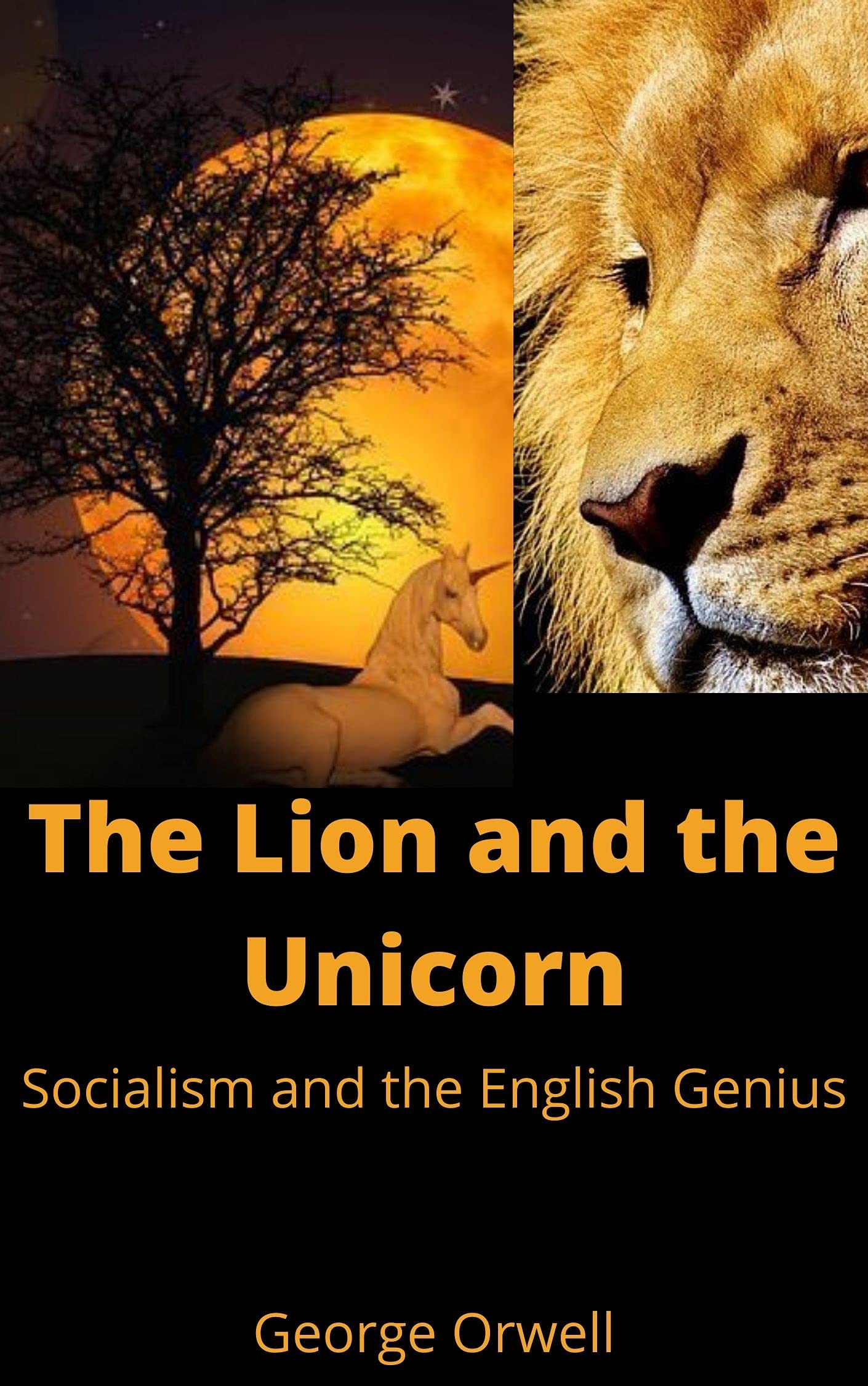The Lion and the Unicorn