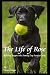 The Life of Rose: Raising a...