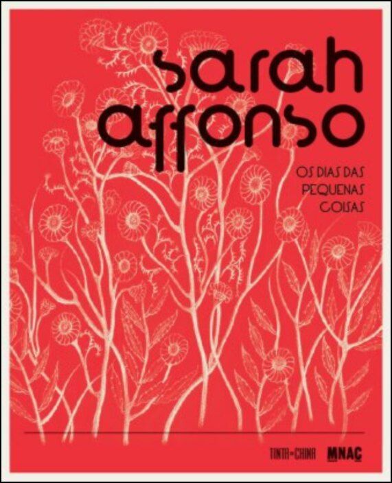Sarah Affonso - Os dias das pequenas coisas (Paperback)