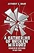 A Gathering of Broken Mirrors by Anthony E. Shaw
