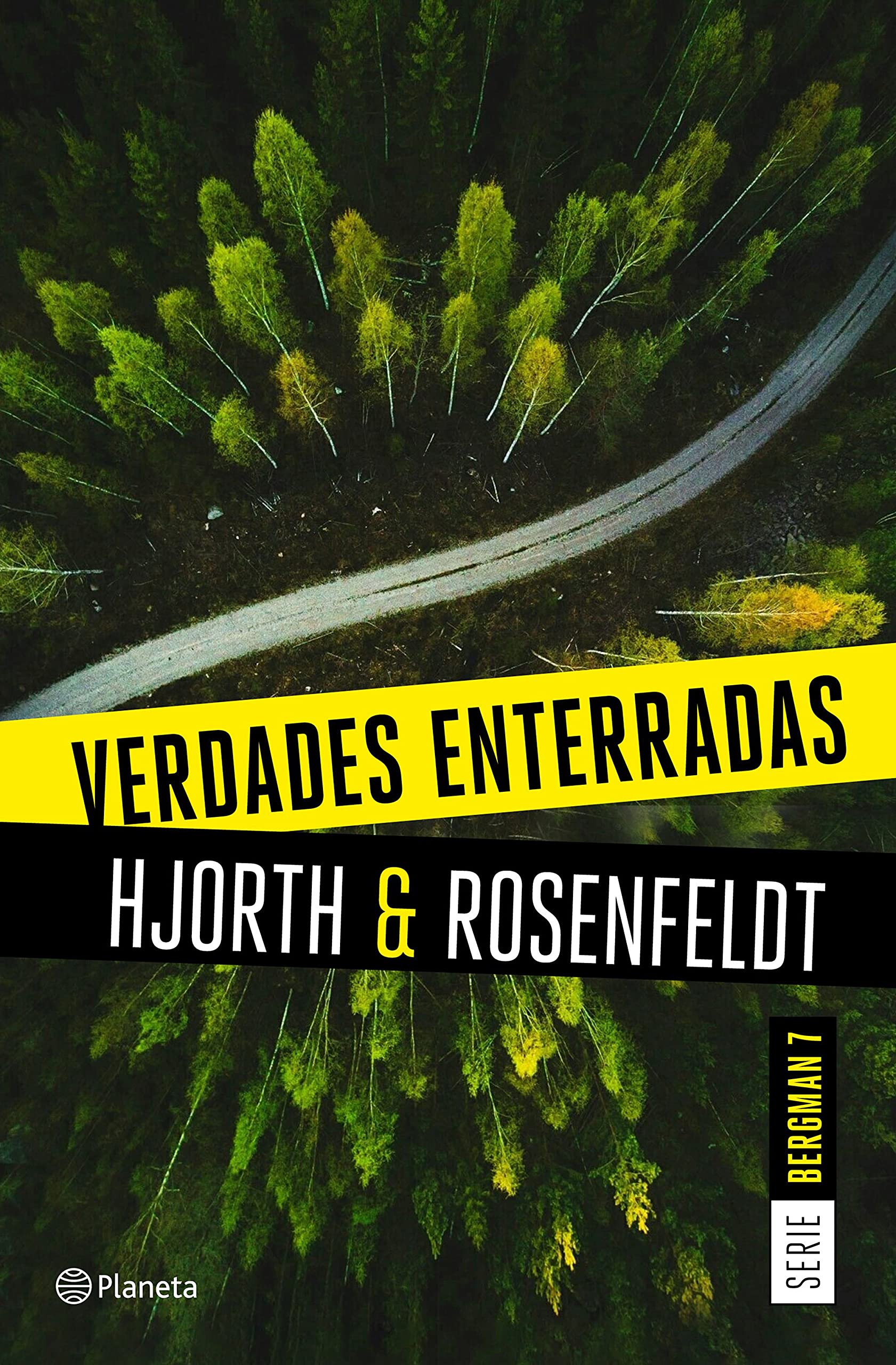 Verdades enterradas (Sebastian Bergman #7)