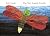 The Very Lonely Firefly by Eric Carle
