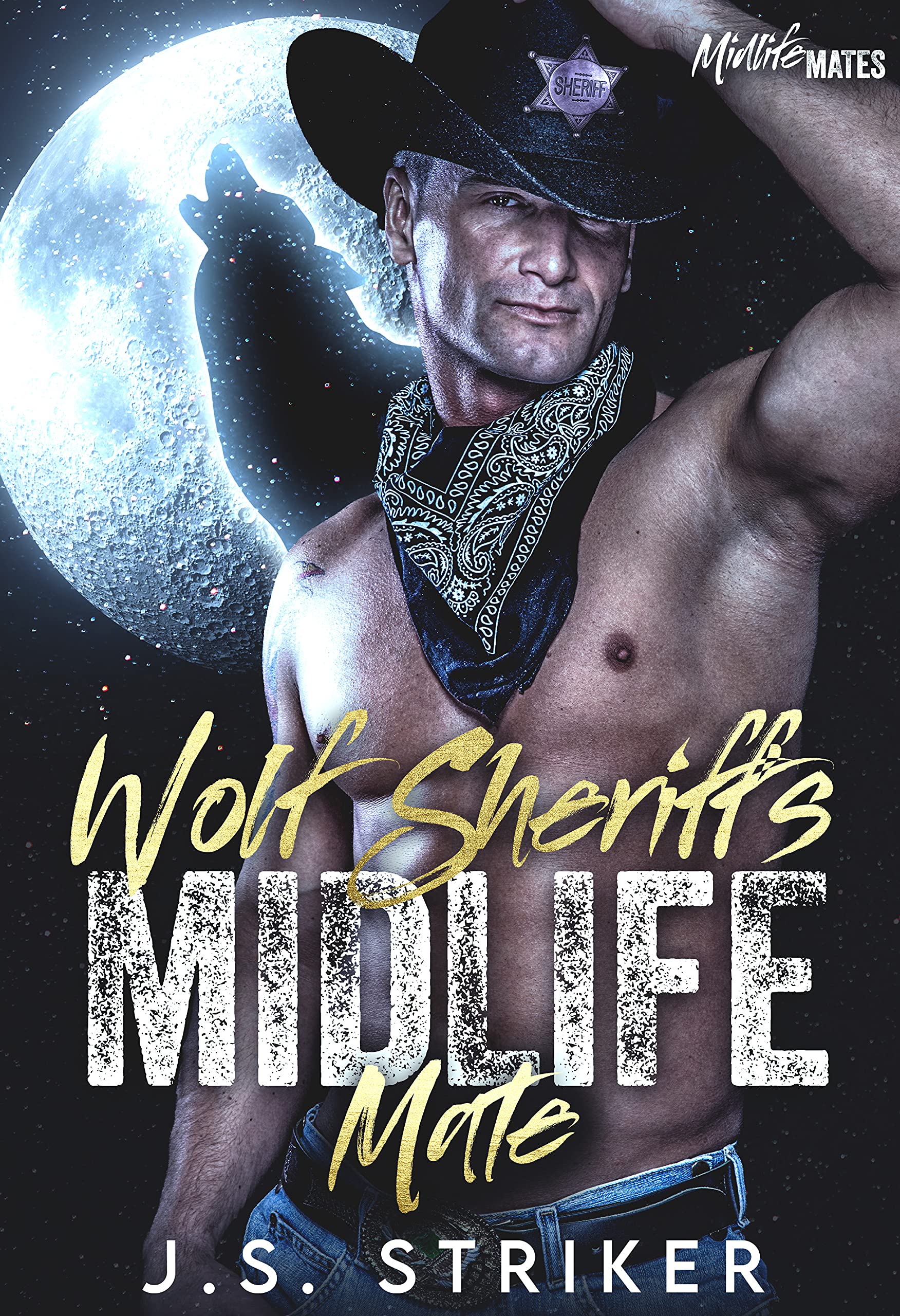 Wolf Sheriff's Midlife Mate (Midlife Mates Book 3)