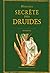 Histoire secrète des druides