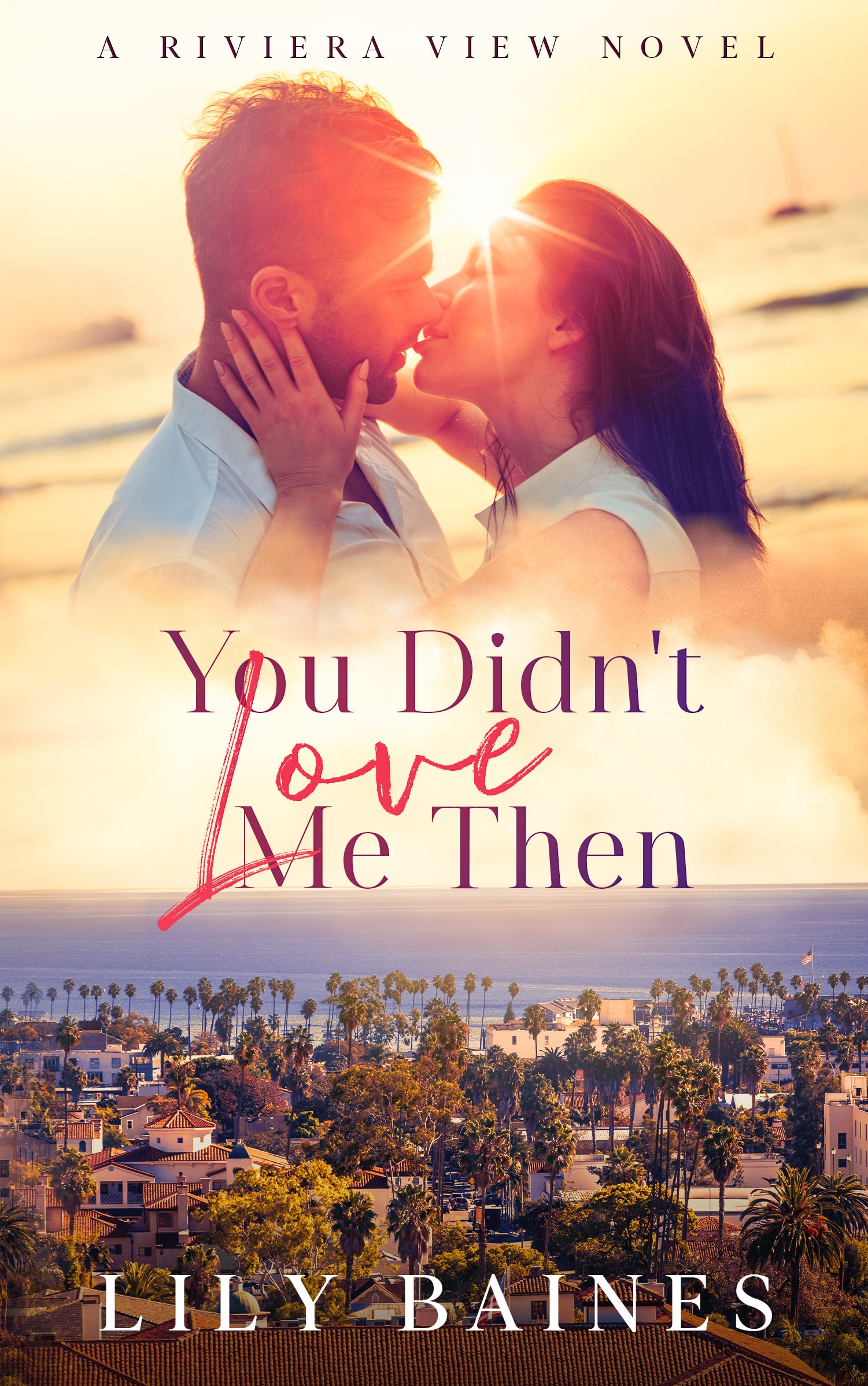 You Didn't Love Me Then (Riviera View, #1)