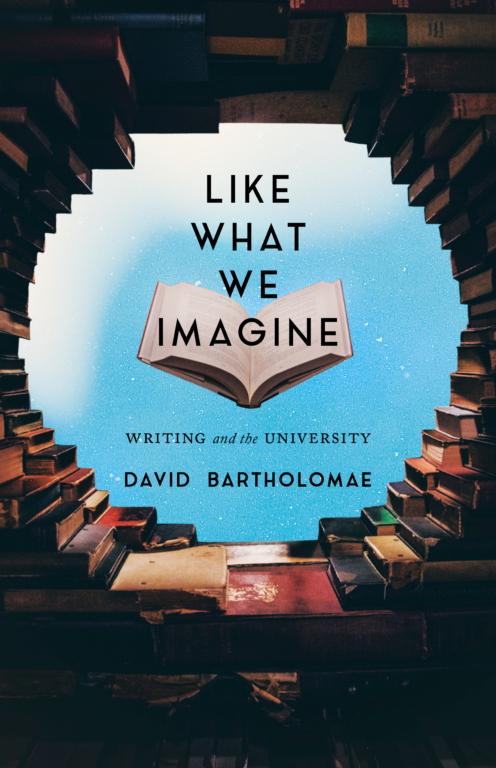 Like What We Imagine: Writing and the University (Composition, Literacy, and Culture)
