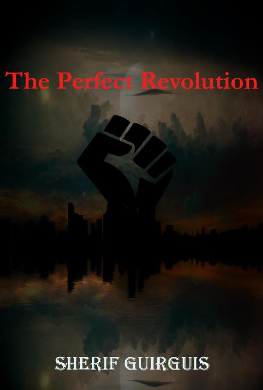 The Perfect Revolution (ebook)