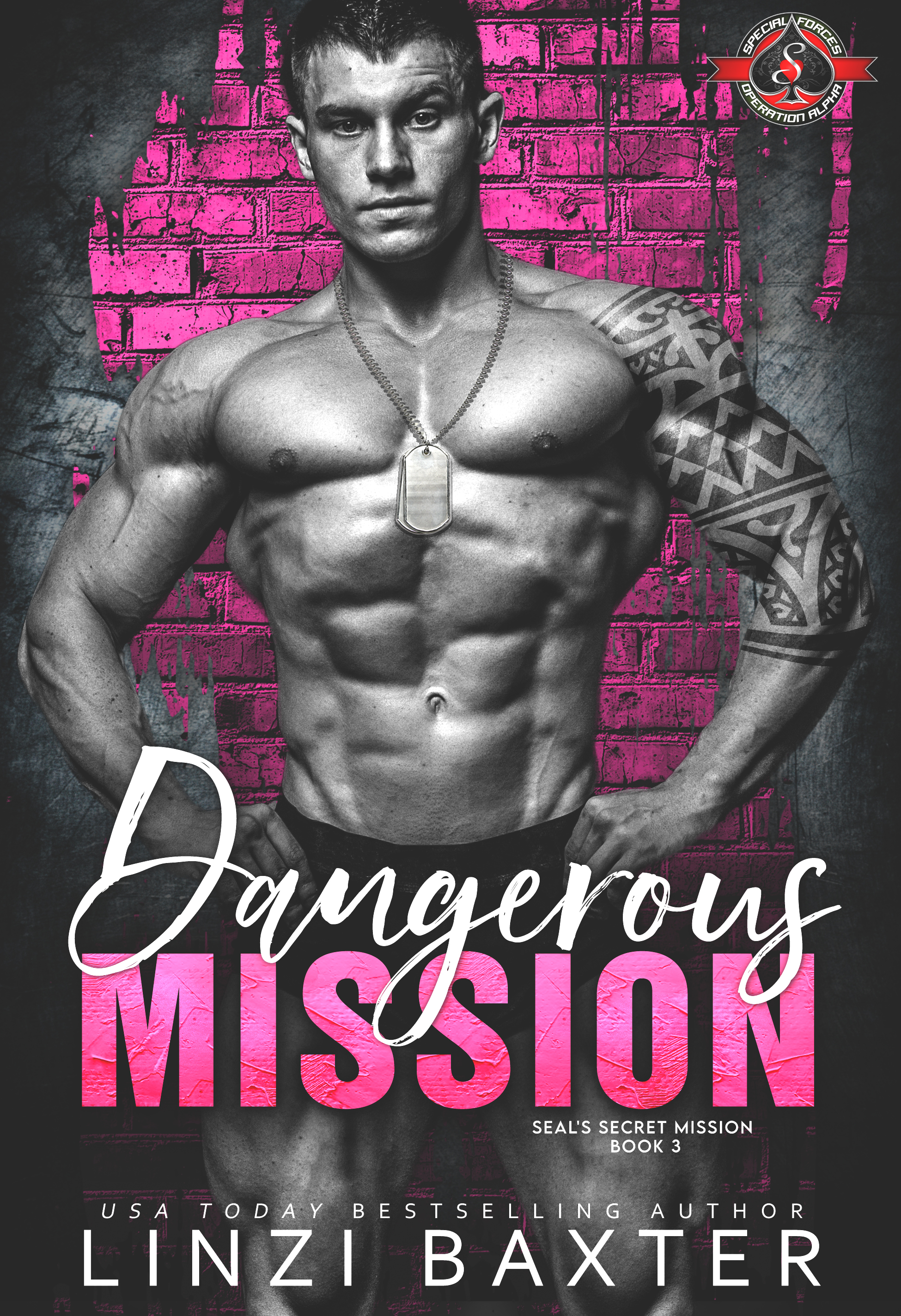 Dangerous Mission (SEAL's Secret Mission #3)