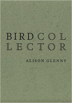 Bird Collector (Paperback)