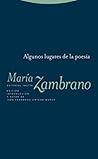 Algunos lugares de la poesía (Spanish Edition)