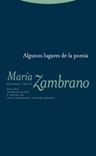 Algunos lugares de la poesía (Spanish Edition)