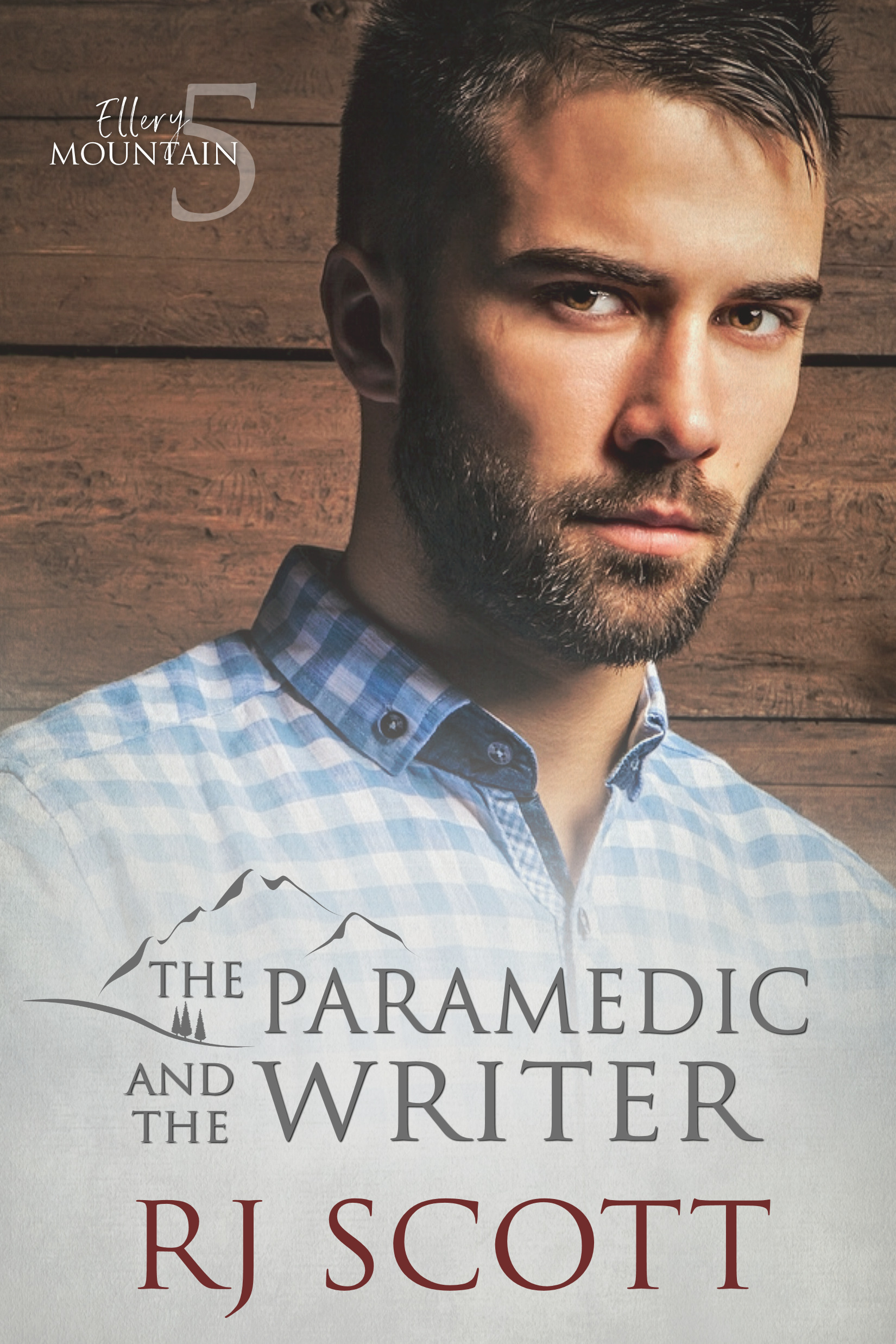 The Paramedic and the Writer (Ellery Mountain #5)