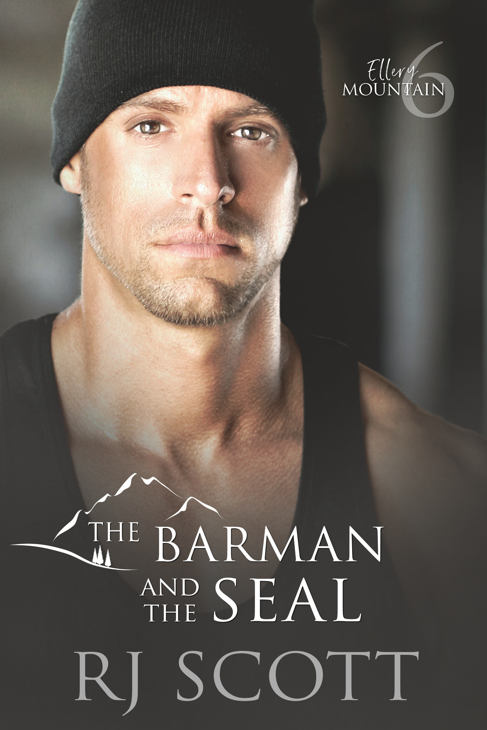 The Barman and the SEAL (Ellery Mountain #6)
