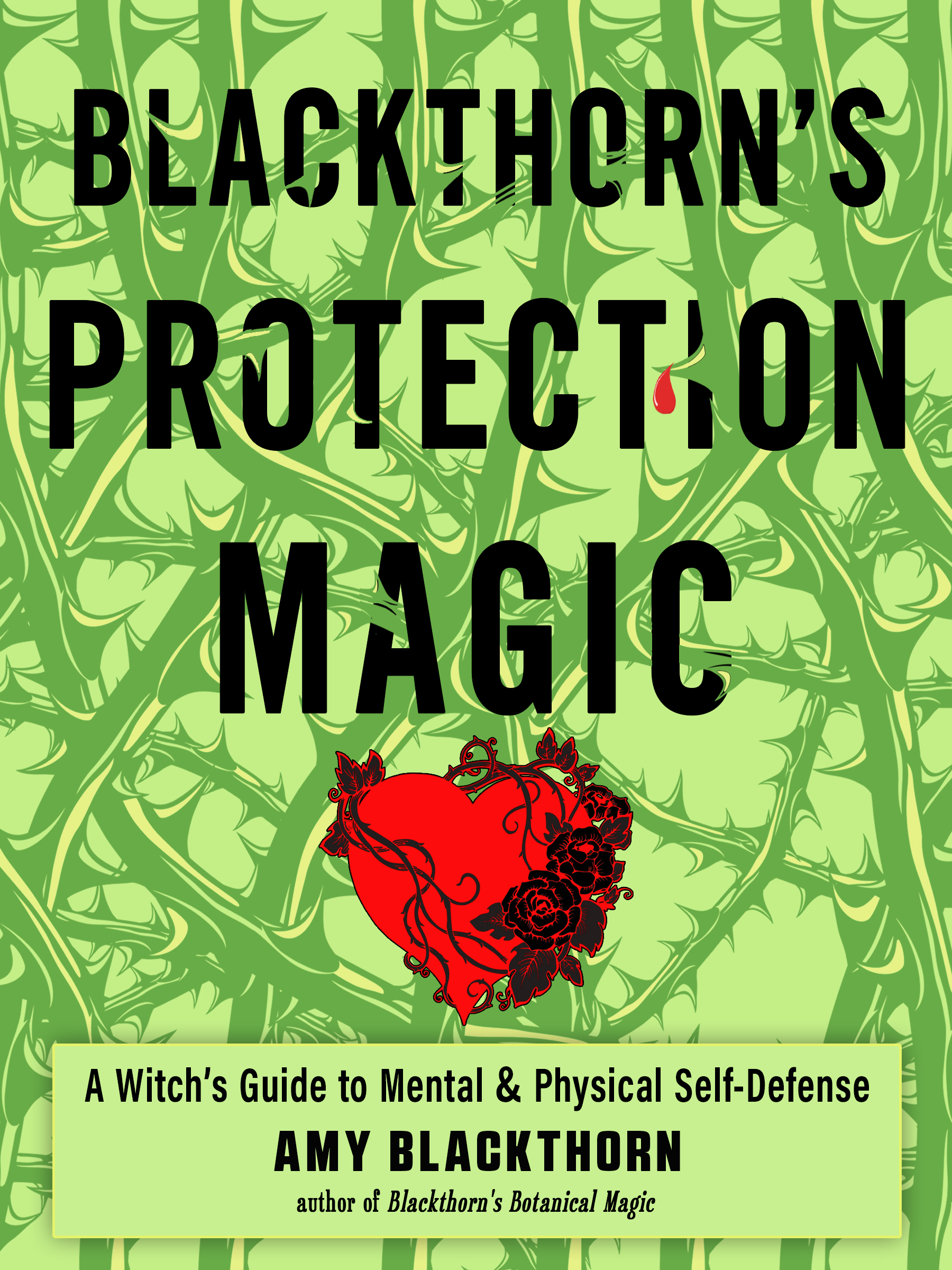 Blackthorn's Protection Magic: A Witch’s Guide to Mental and Physical Self-Defense (Paperback)