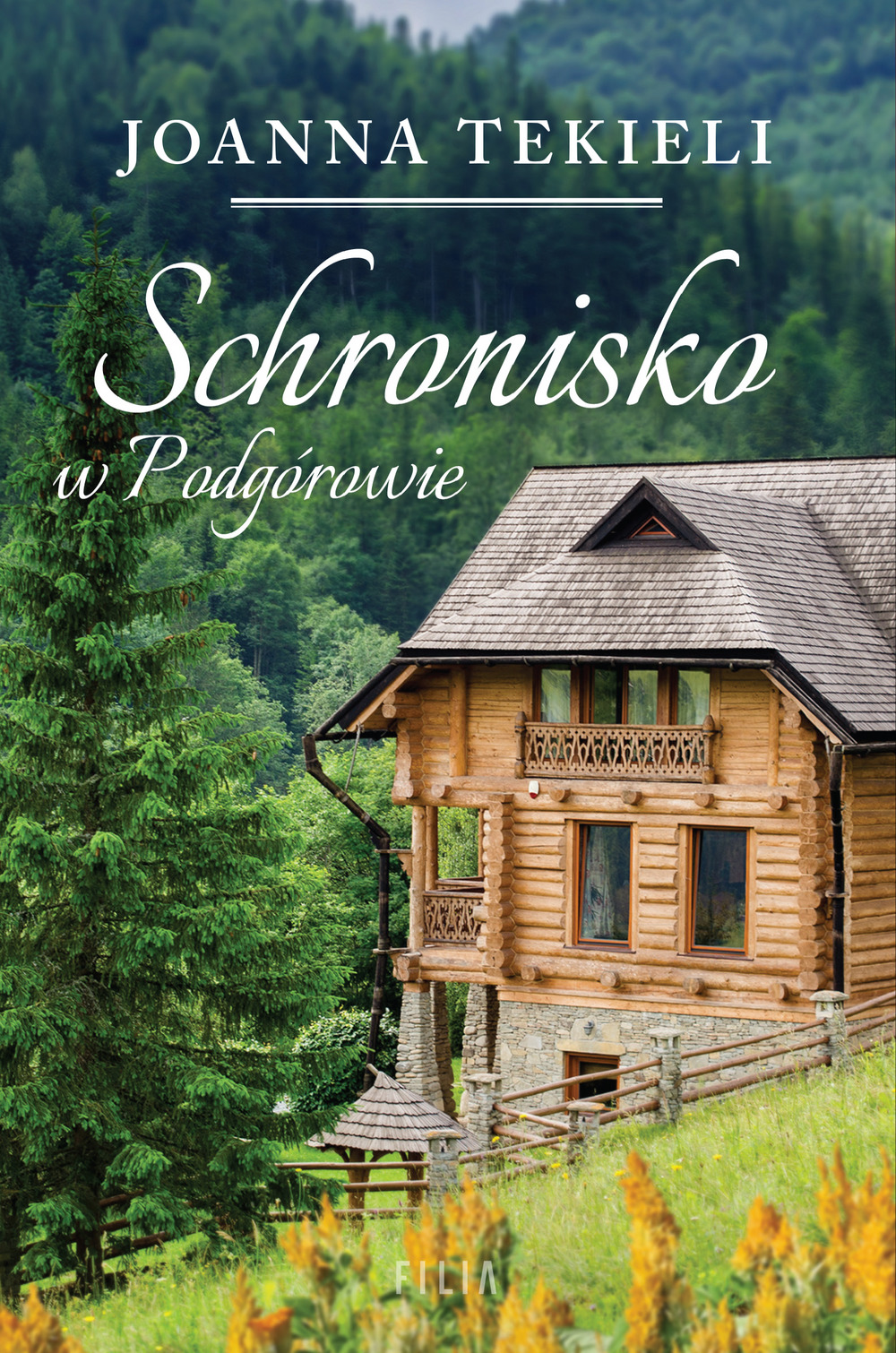 Schronisko w Podgórowie (Paperback)