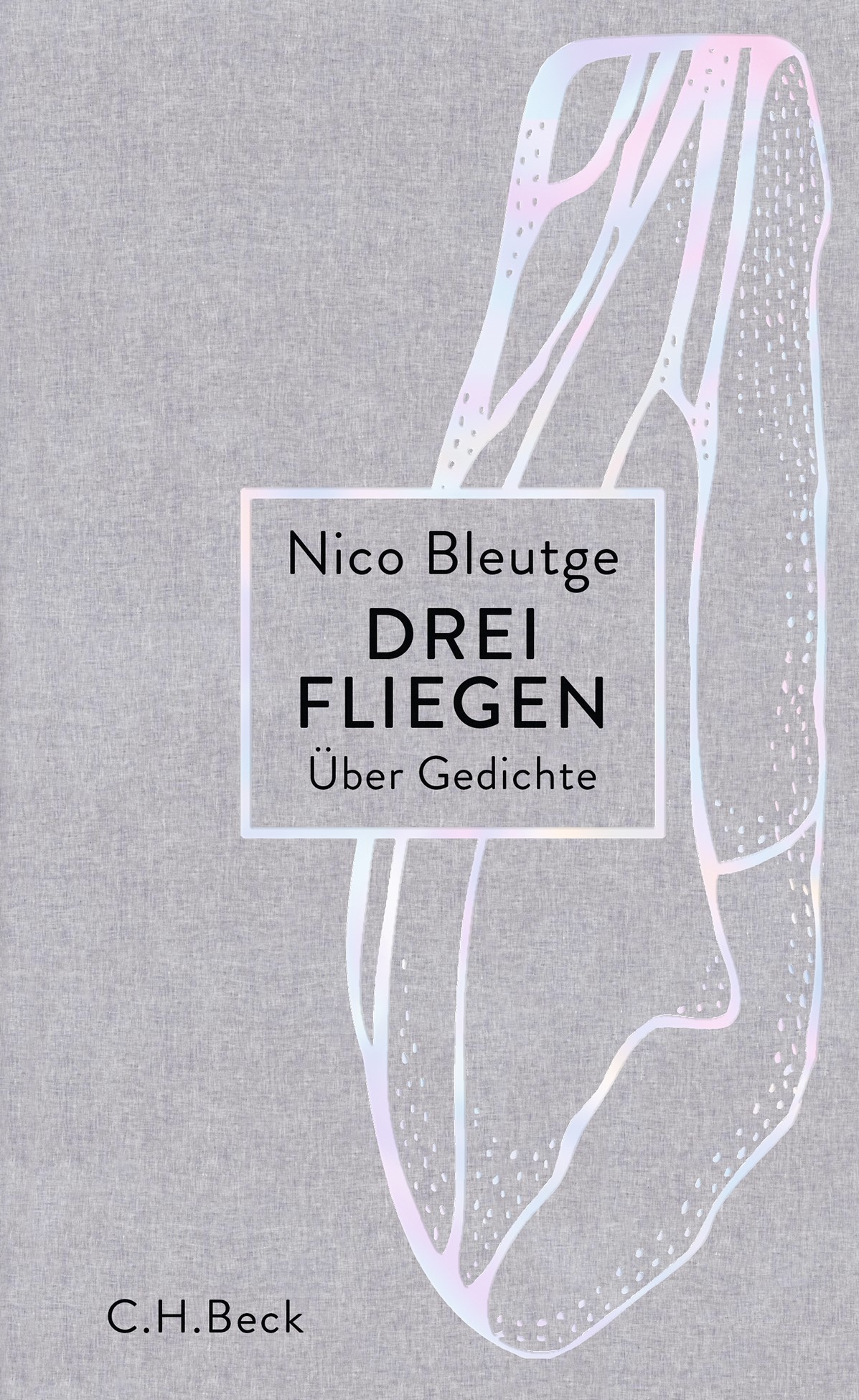 Drei Fliegen. Über Gedichte (Hardcover)