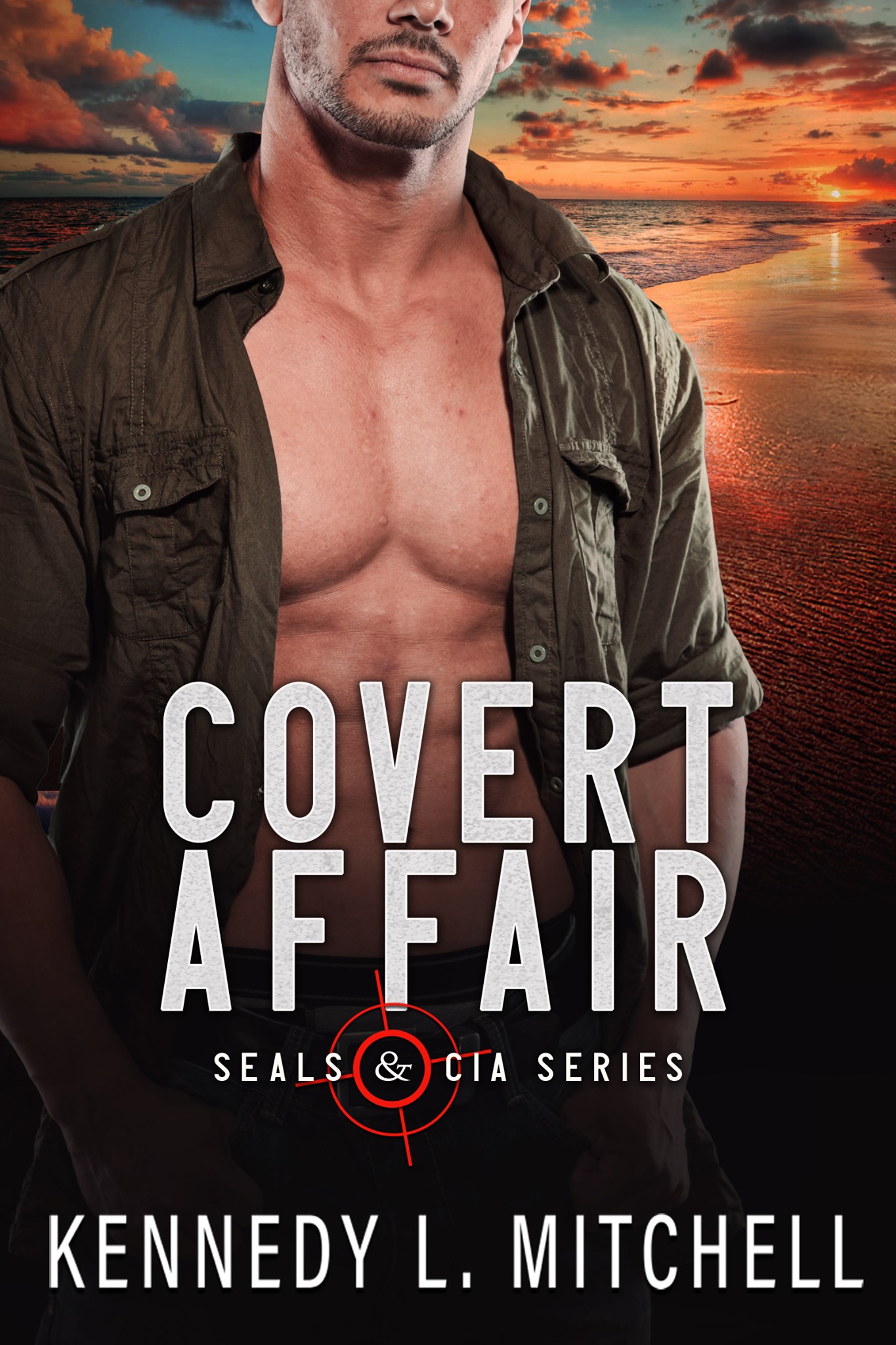 A Covert Affair (SEALs and CIA, #1)