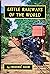Little Railways of the World