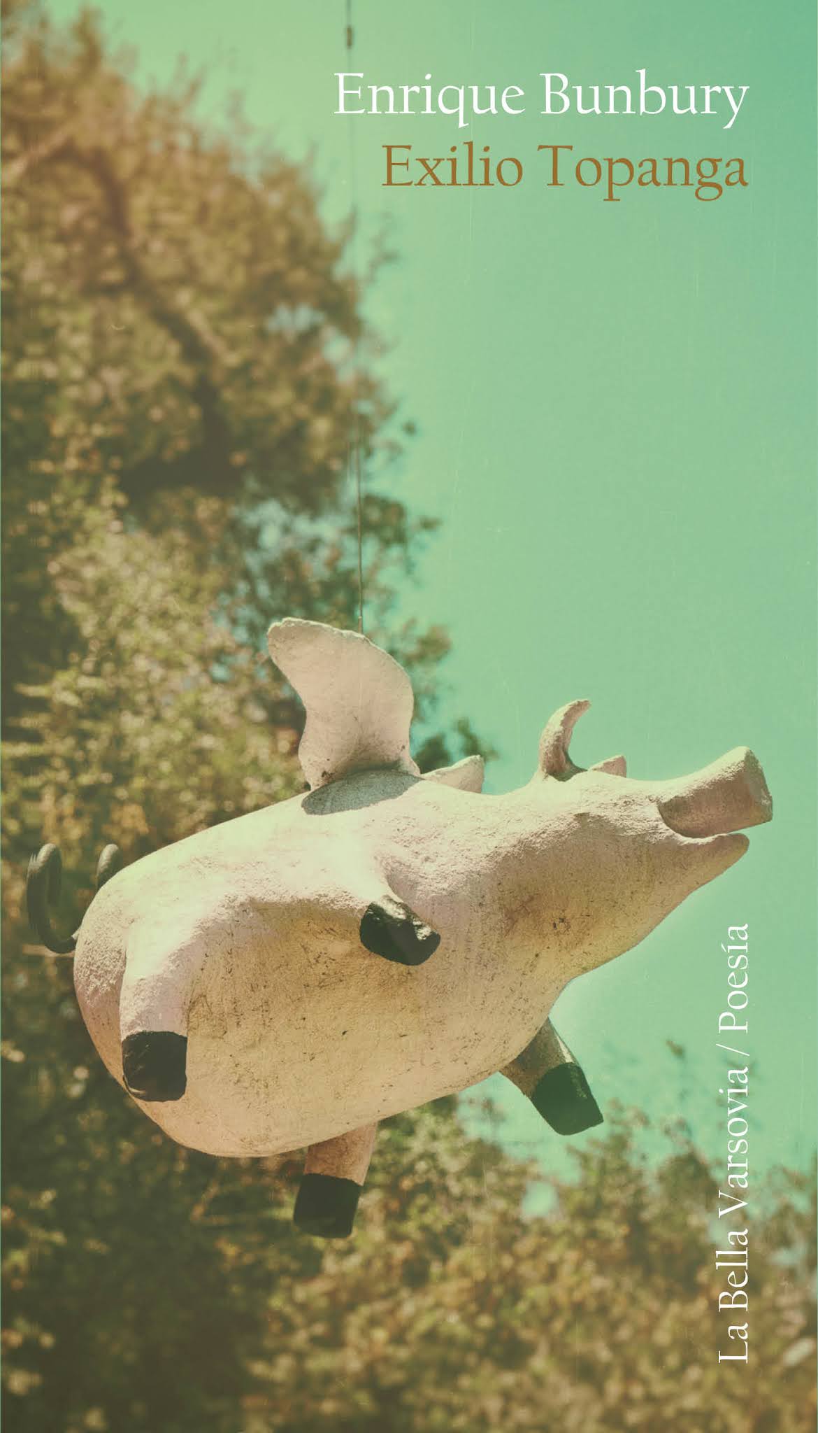 Exilio Topanga (Paperback)