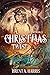 A Christmas Twist: A Twist in Time Book II