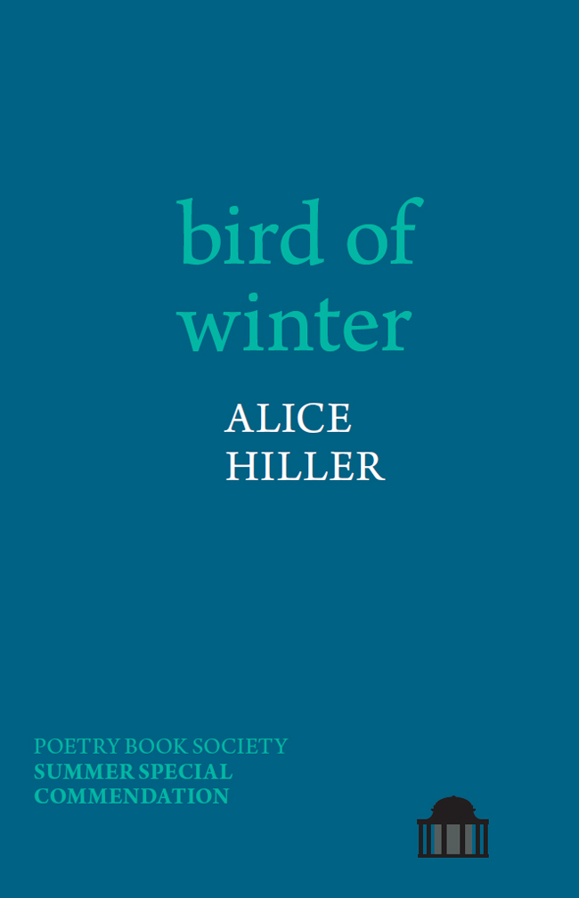 Bird of Winter