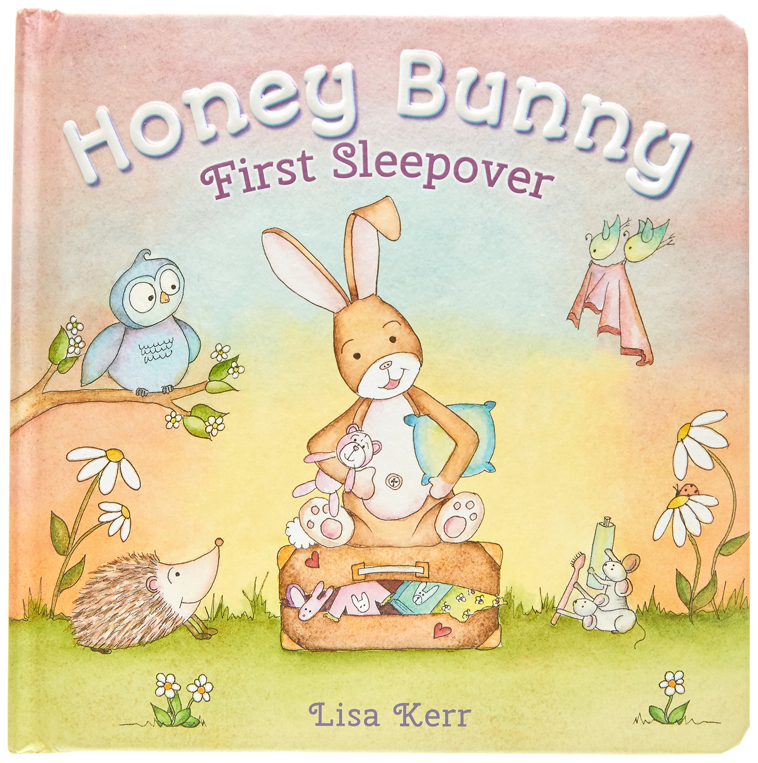 Honey Bunny First Sleepover (Board book)