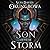 Son of the Storm (The Nameless Republic, #1)
