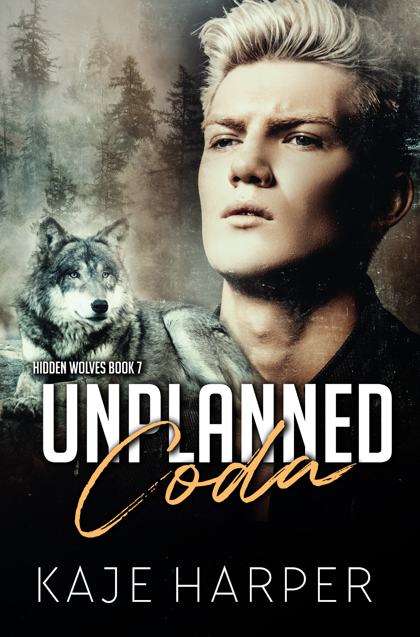 Unplanned Coda (Hidden Wolves, #7)