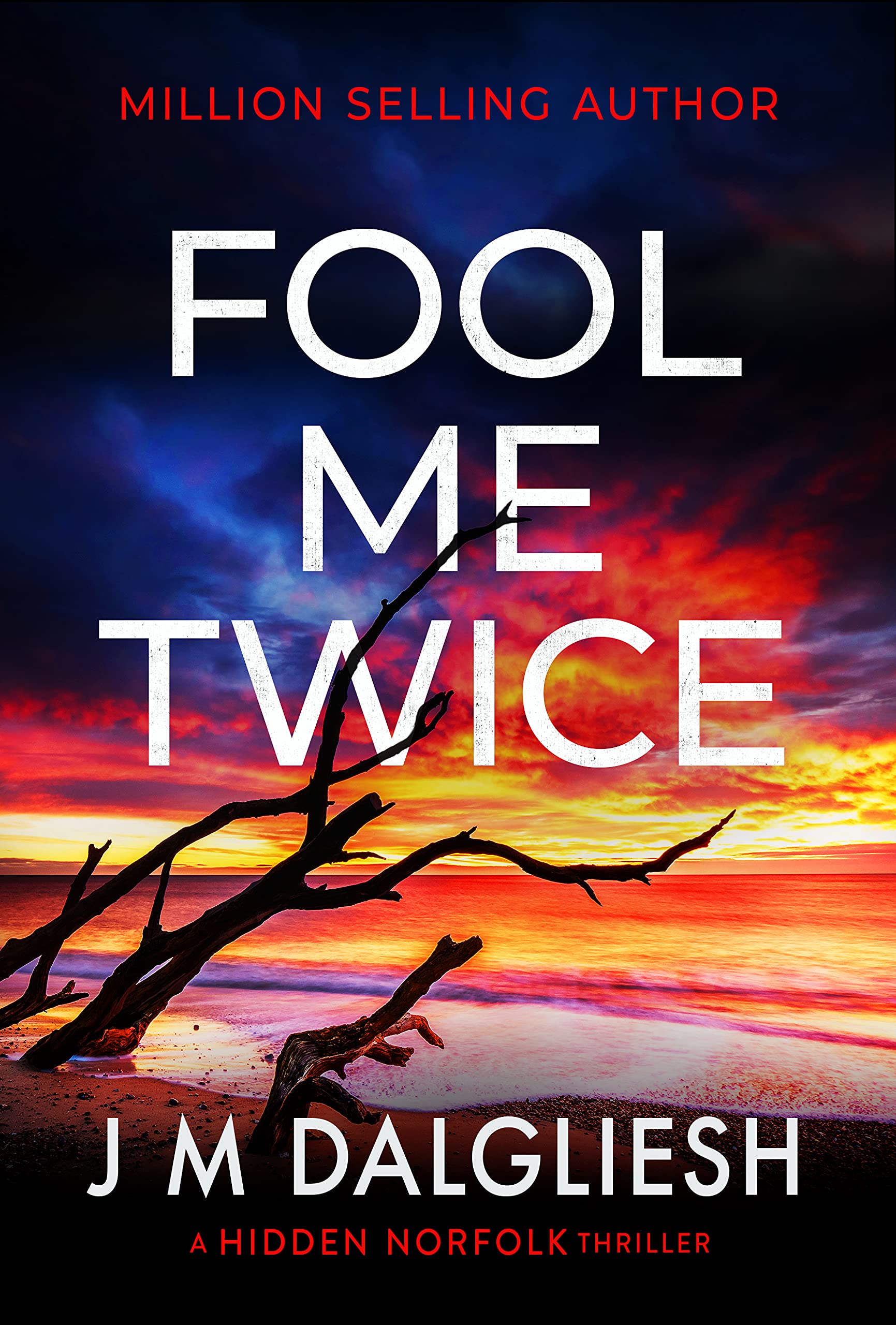 Fool Me Twice (Hidden Norfolk, #10)