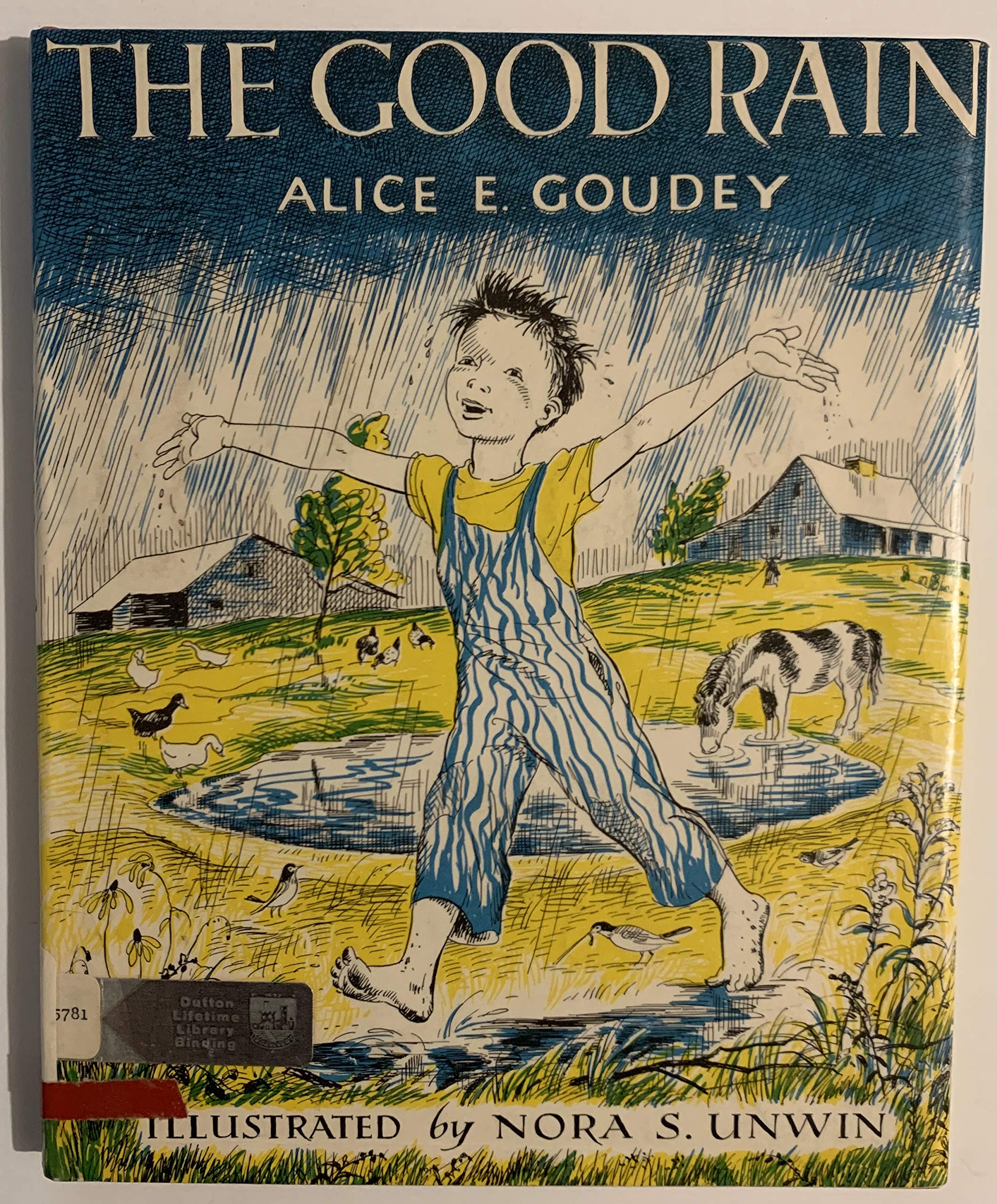 The Good Rain