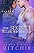 The Secret Ex-Boyfriend (Aerial Ethereal, #2)