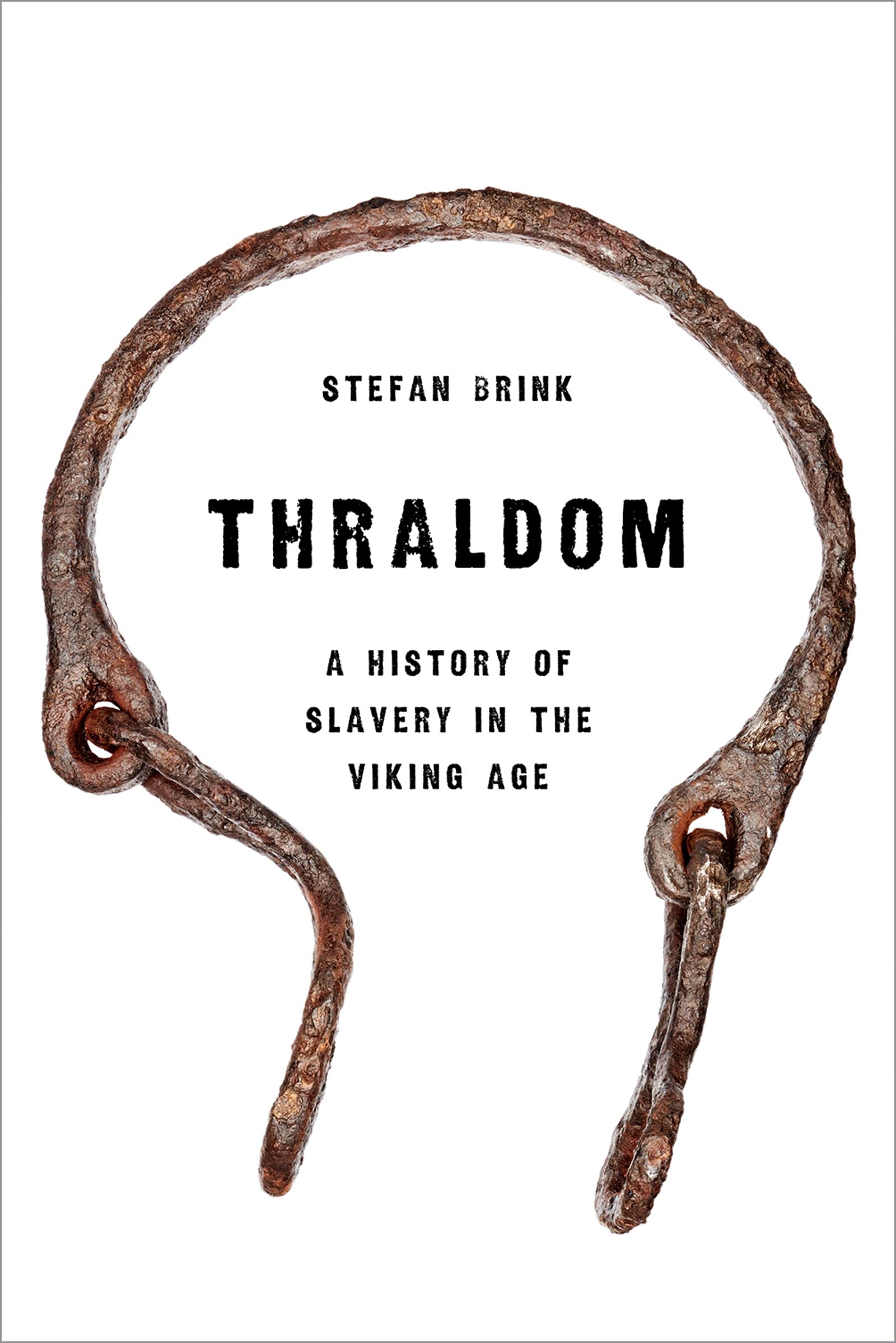 Thraldom: A History of Slavery in the Viking Age (Kindle Edition)