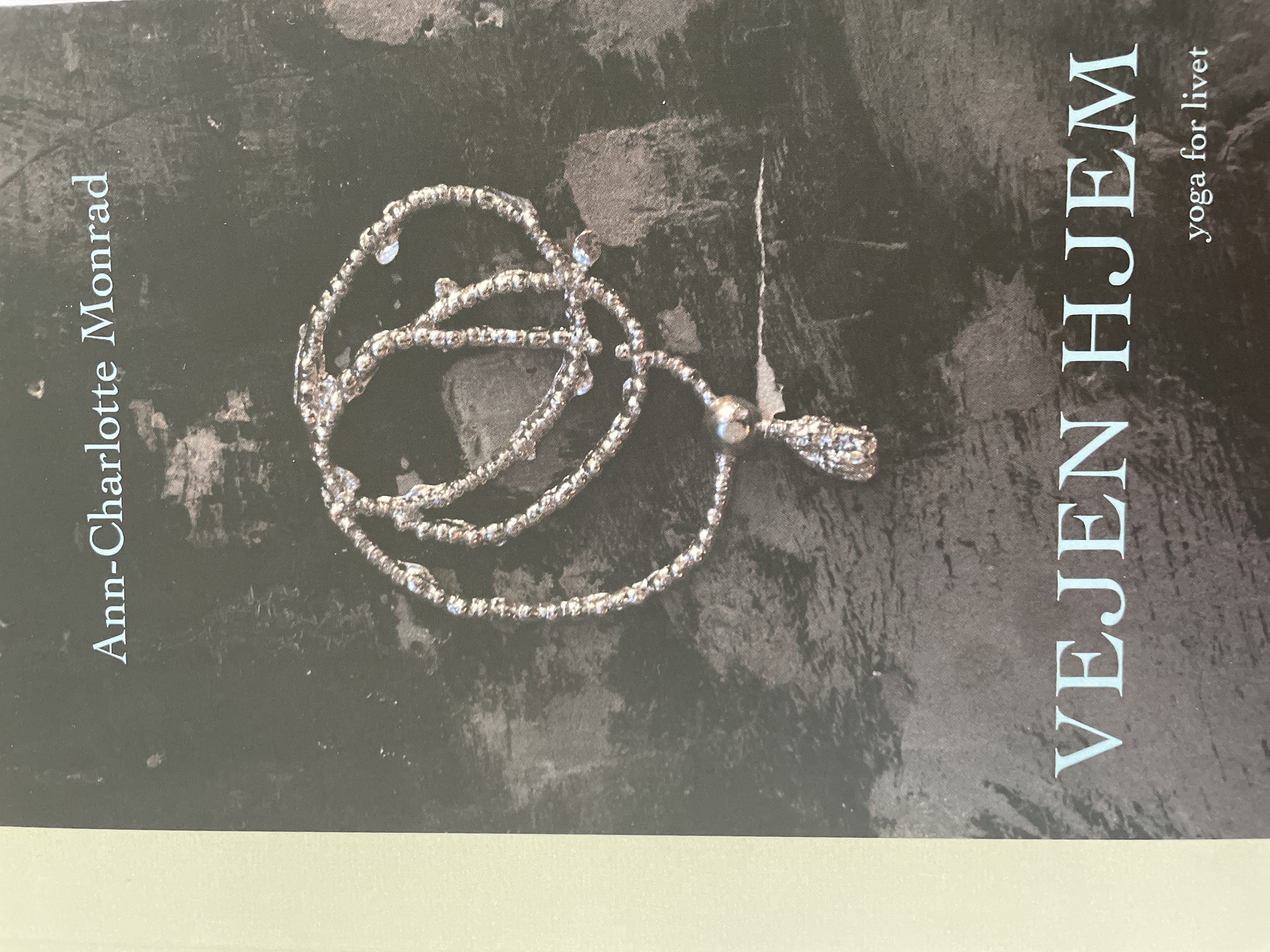 Vejen hjem - yoga for livet