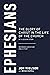Ephesians: The Glory of Christ in the Life of the Church, A 13-Lesson Study (Reformed Expository Bible Studies)