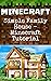 Minecraft: Simple Family Ho...