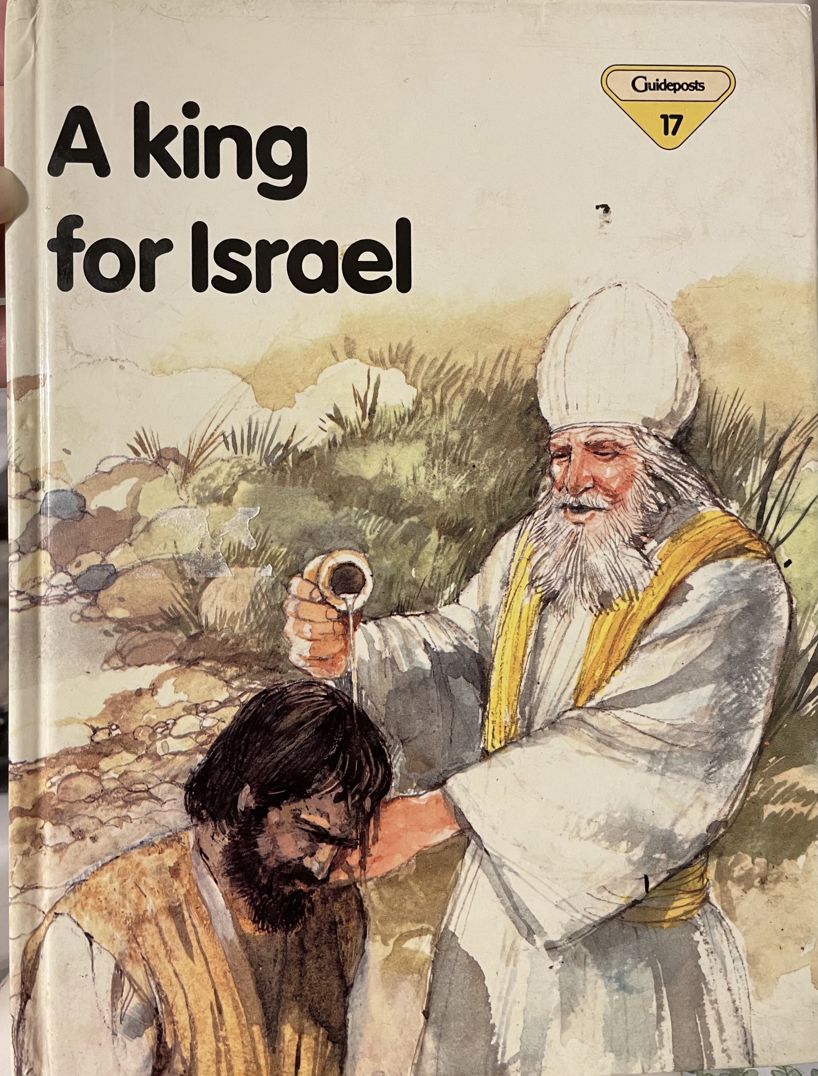 King for Israel (Lion Story Bible)