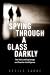 Spying Through a Glass Darkly by Cécile Fabre