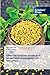 Effect of fertilizer levels and biofertilizer inoculation on ... by Yamuna Palla