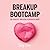 Breakup Bootcamp: De kracht van een gebroken hart