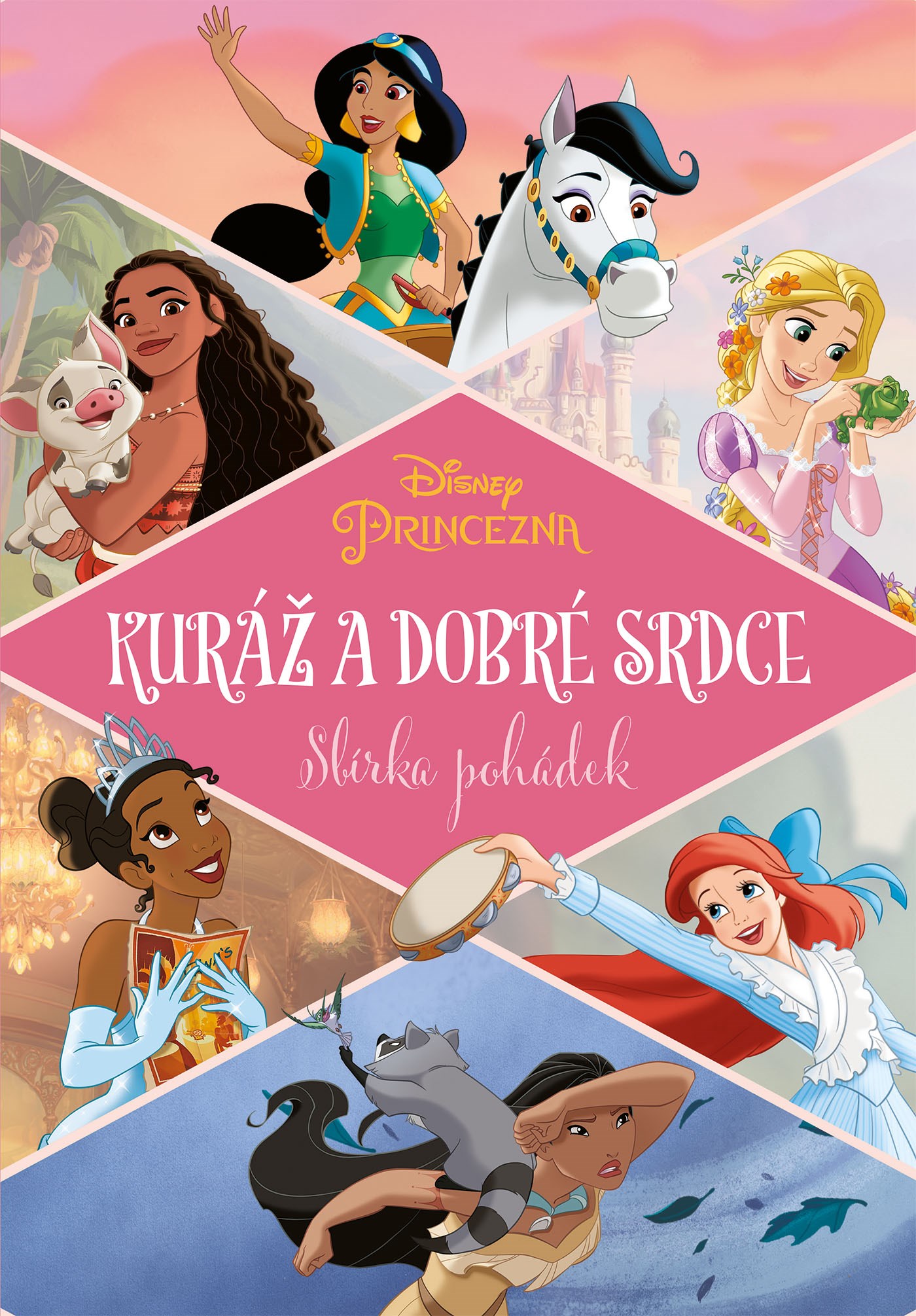 Princezna - Kuráž a dobré srdce - Sbírka pohádek (Hardcover)