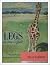 Legs the Story of a Giraffe
