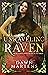 Unraveling Raven (Raven's H...