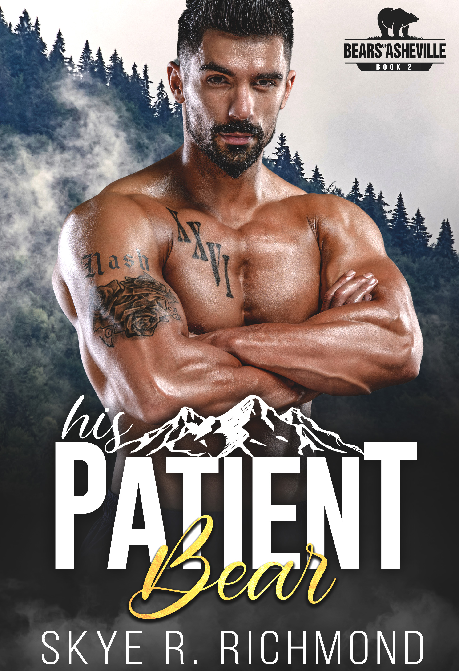 His Patient Bear (Bears of Asheville #2)