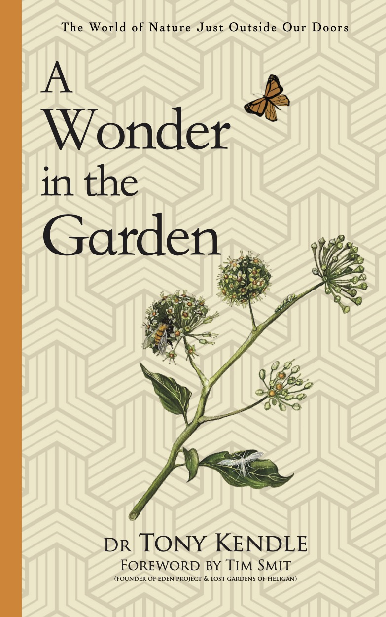 A Wonder In The Garden