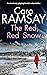 The Red, Red Snow (Anderson and Costello #11)