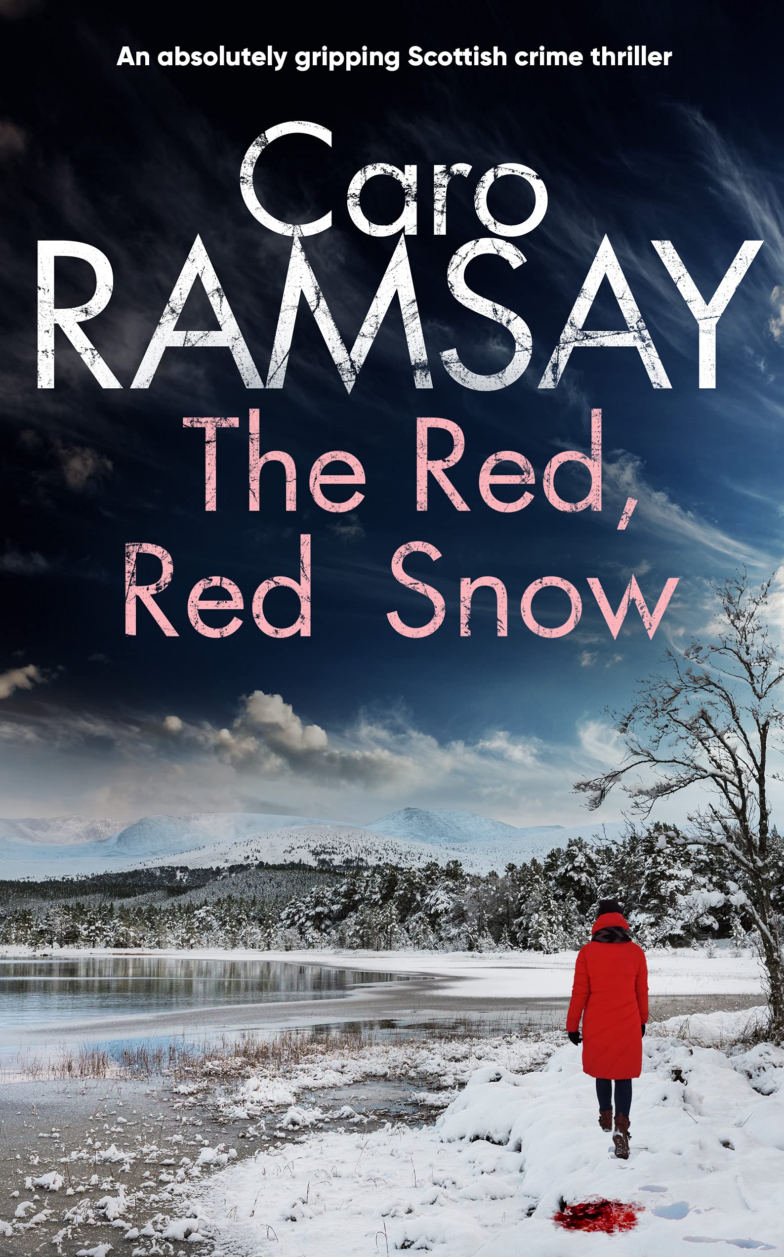 The Red, Red Snow (Anderson and Costello #11)